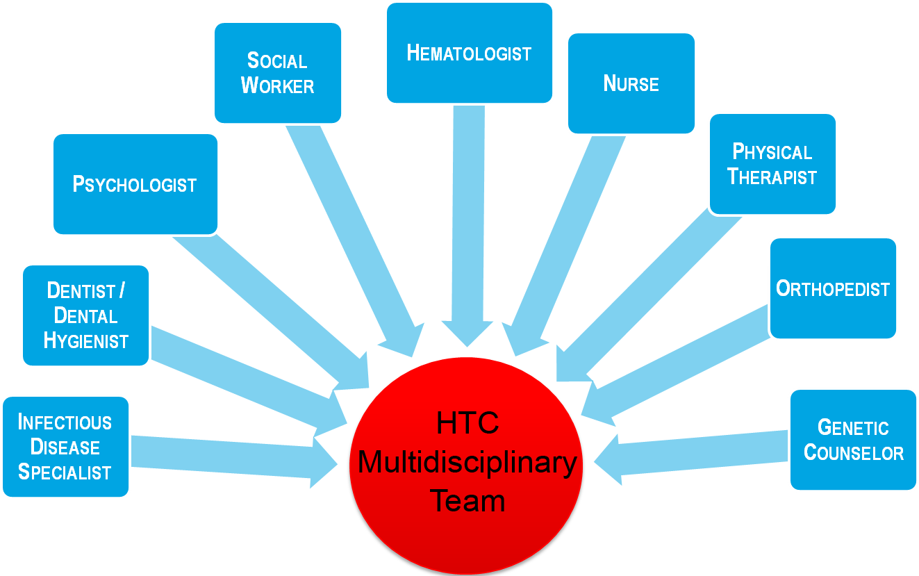 Components of the HTC Multidisciplinary Team